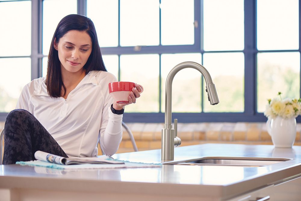 Genta LX One-Handle High Arc Pulldown Kitchen Faucet