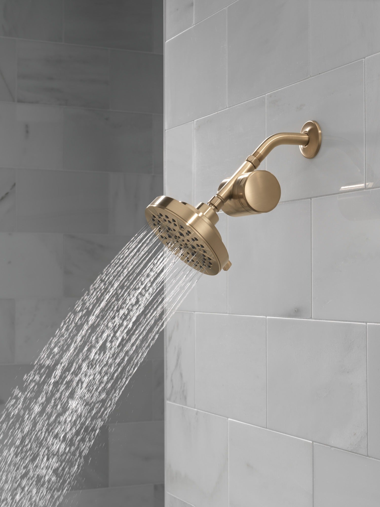 Delta Clarifi™ Standard Shower Filter Attachment