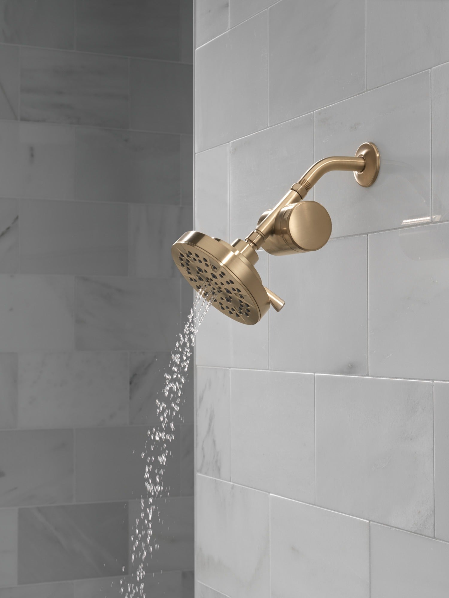 Delta Clarifi™ Standard Shower Filter Attachment