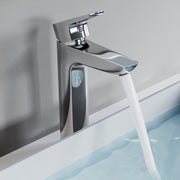 Single Handle Lavatory Faucet - 8001 022