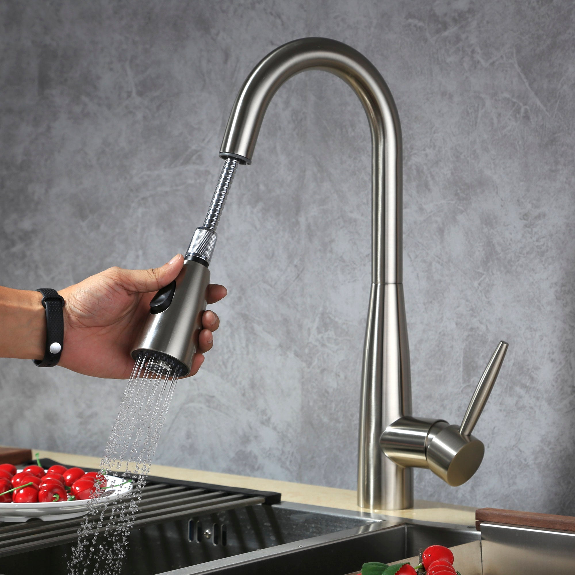 Single Handle Pull-Out Kitchen Faucet - 8002 005 02