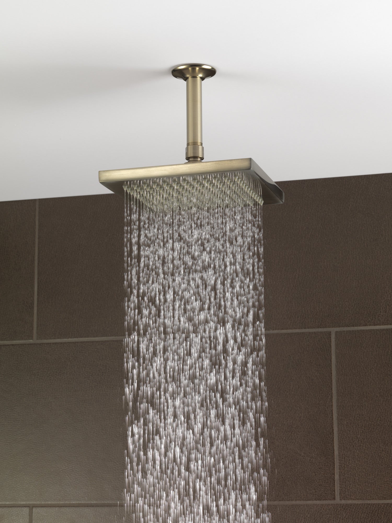 Brizo Essential™ Shower 6" Ceiling Mount Shower Arm And Round Flange