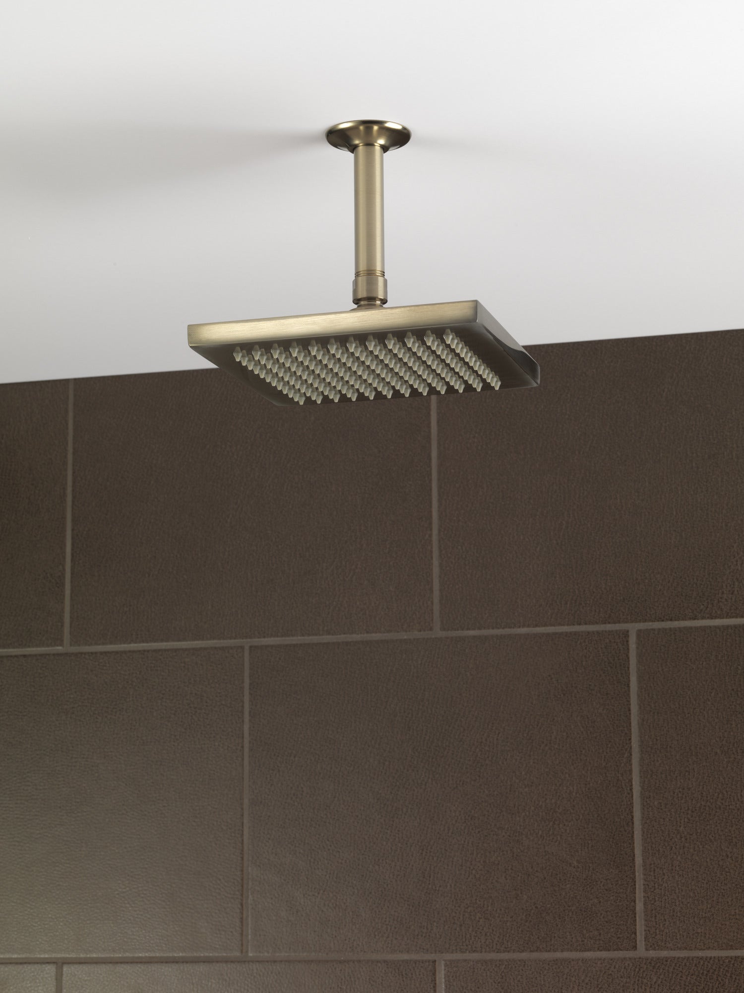 Brizo Essential™ Shower 6" Ceiling Mount Shower Arm And Round Flange