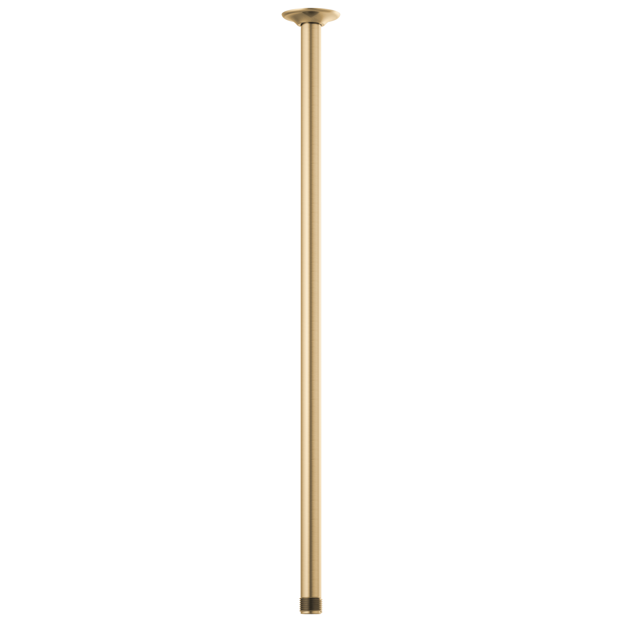 Brizo Essential™ Shower 24" Ceiling Mount Shower Arm And Round Flange