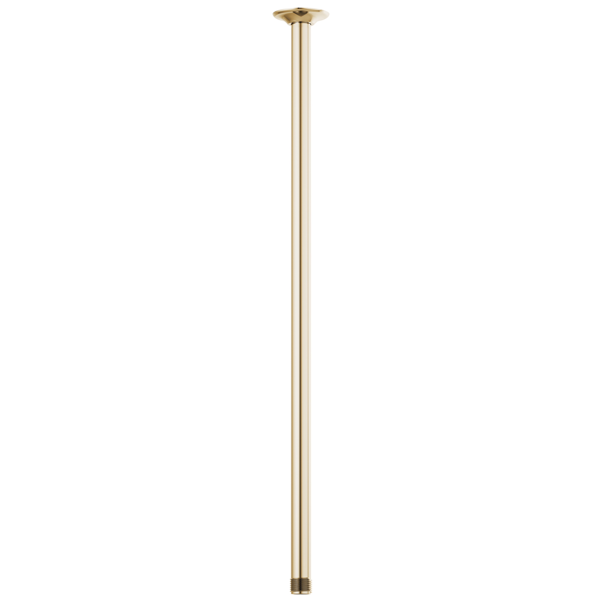 Brizo Essential™ Shower 24" Ceiling Mount Shower Arm And Round Flange