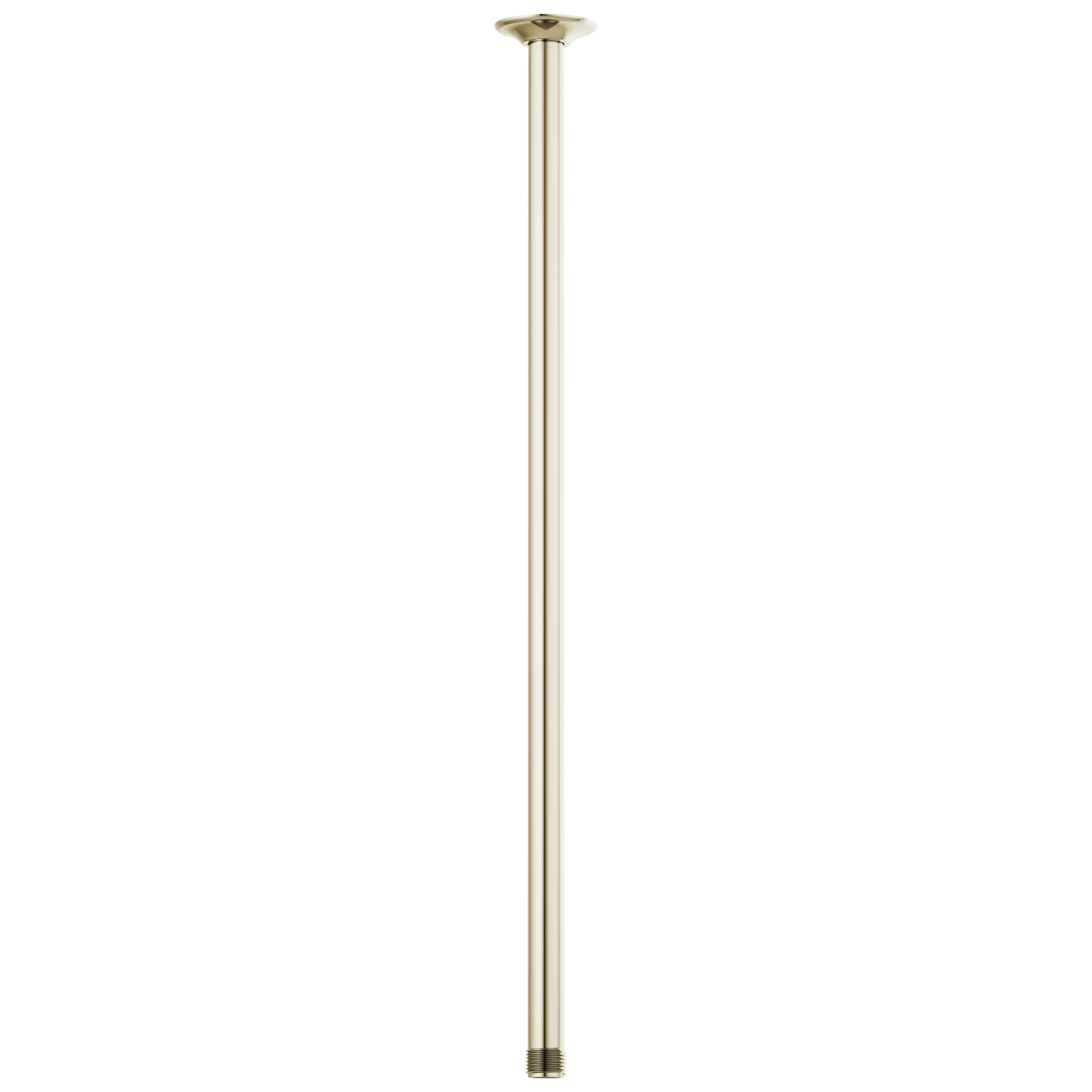 Brizo Essential™ Shower 24" Ceiling Mount Shower Arm And Round Flange