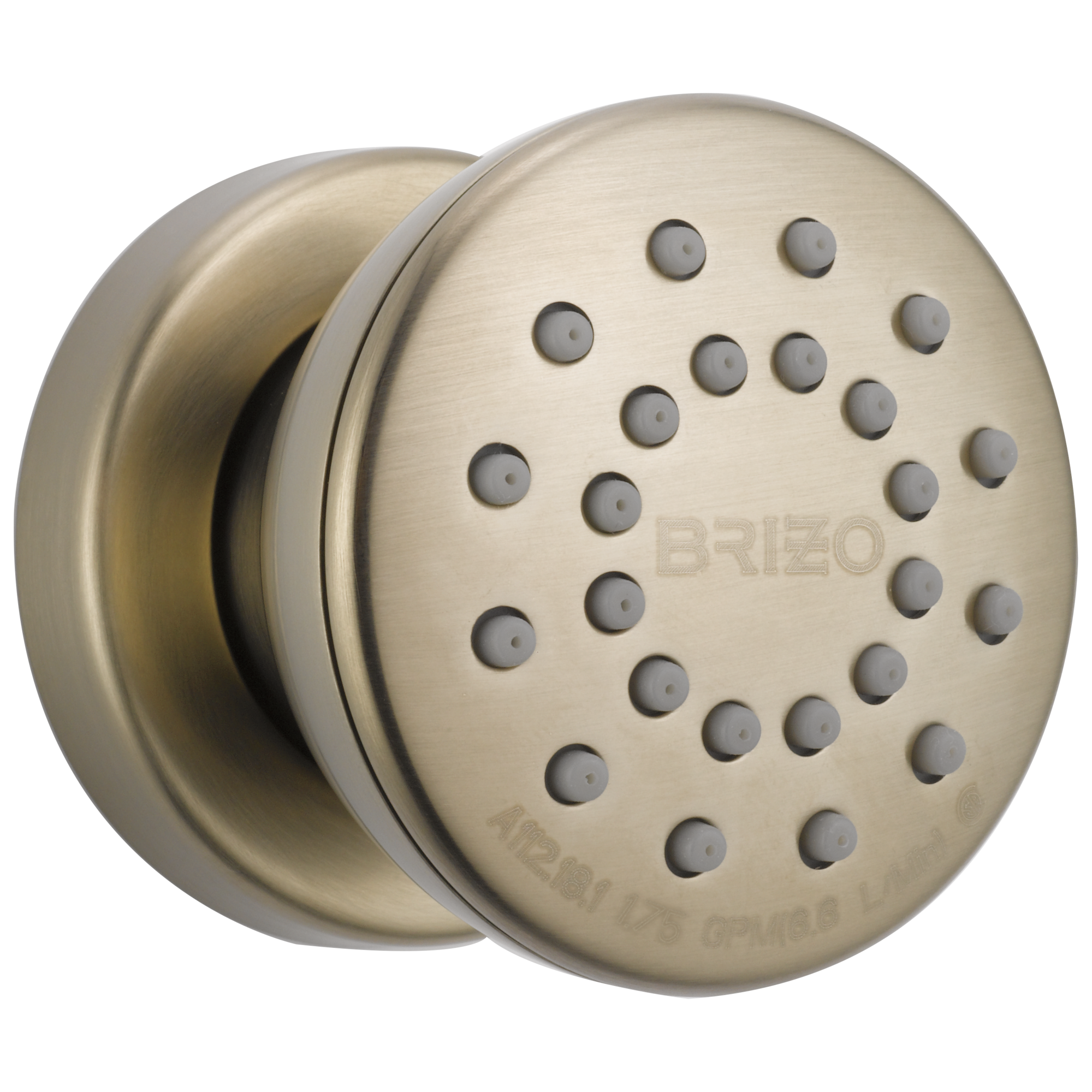 Brizo Essential™ Shower Touch-Clean® Round Body Spray