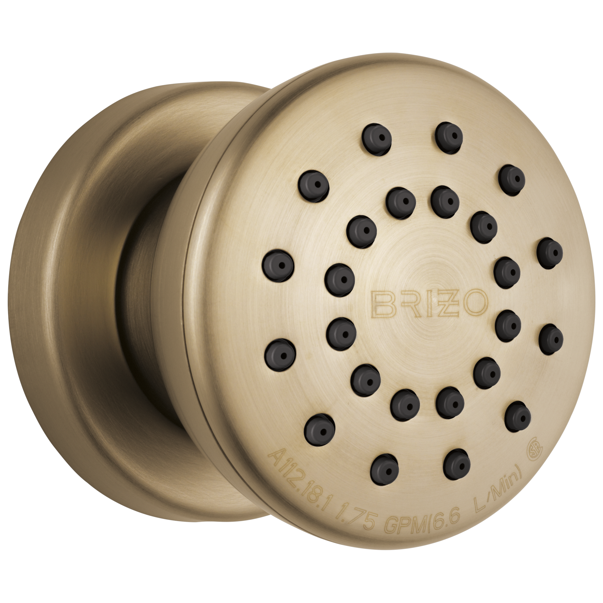 Brizo Essential™ Shower Touch-Clean® Round Body Spray