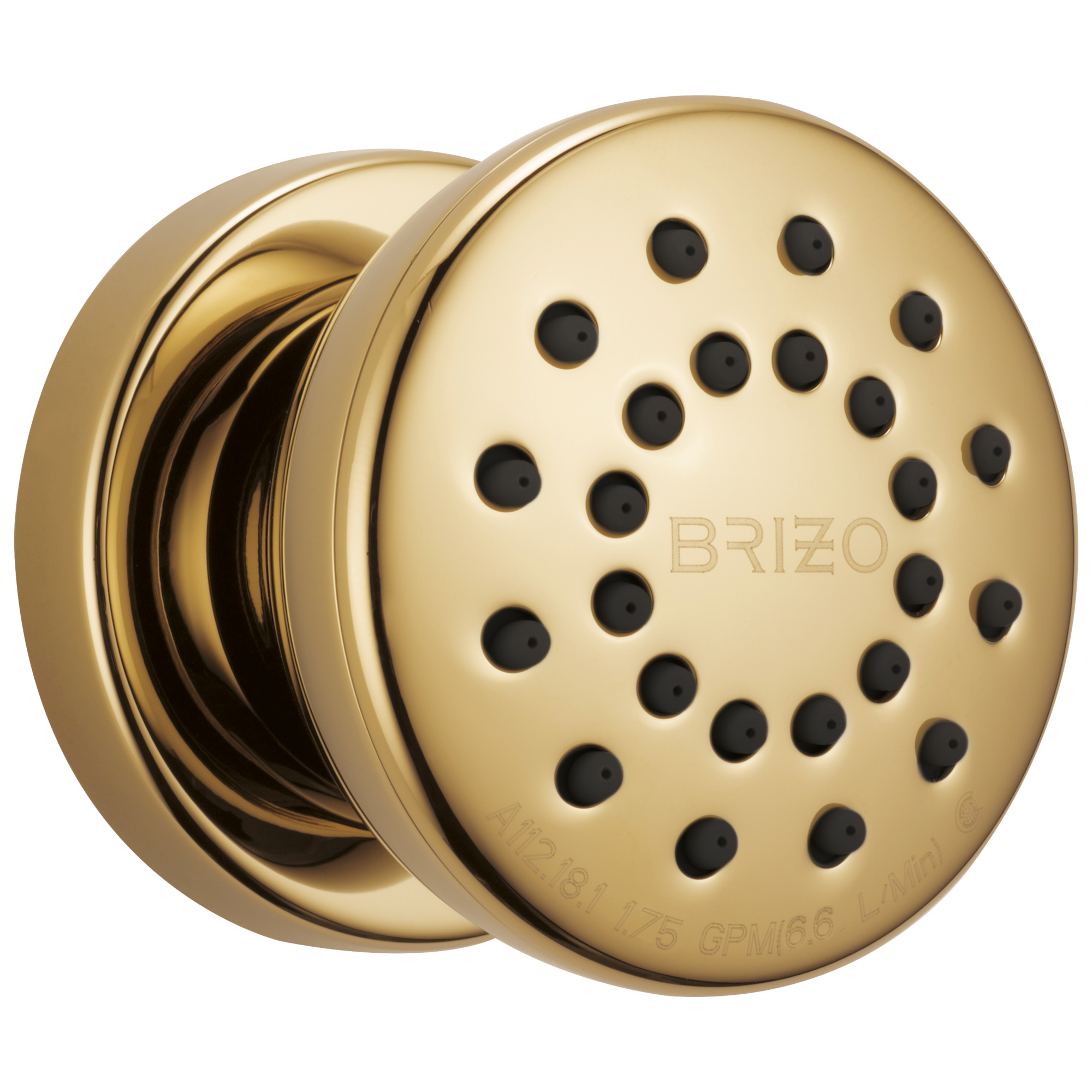 Brizo Essential™ Shower Touch-Clean® Round Body Spray