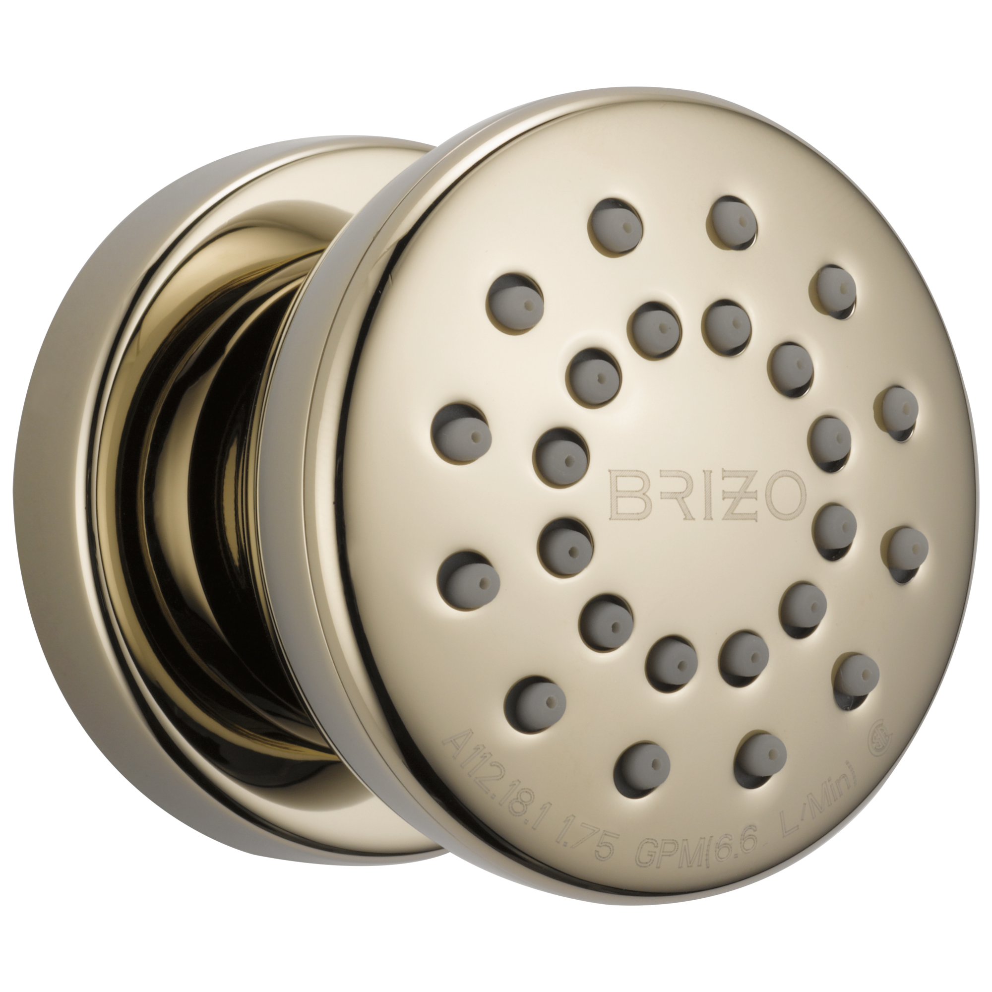 Brizo Essential™ Shower Touch-Clean® Round Body Spray