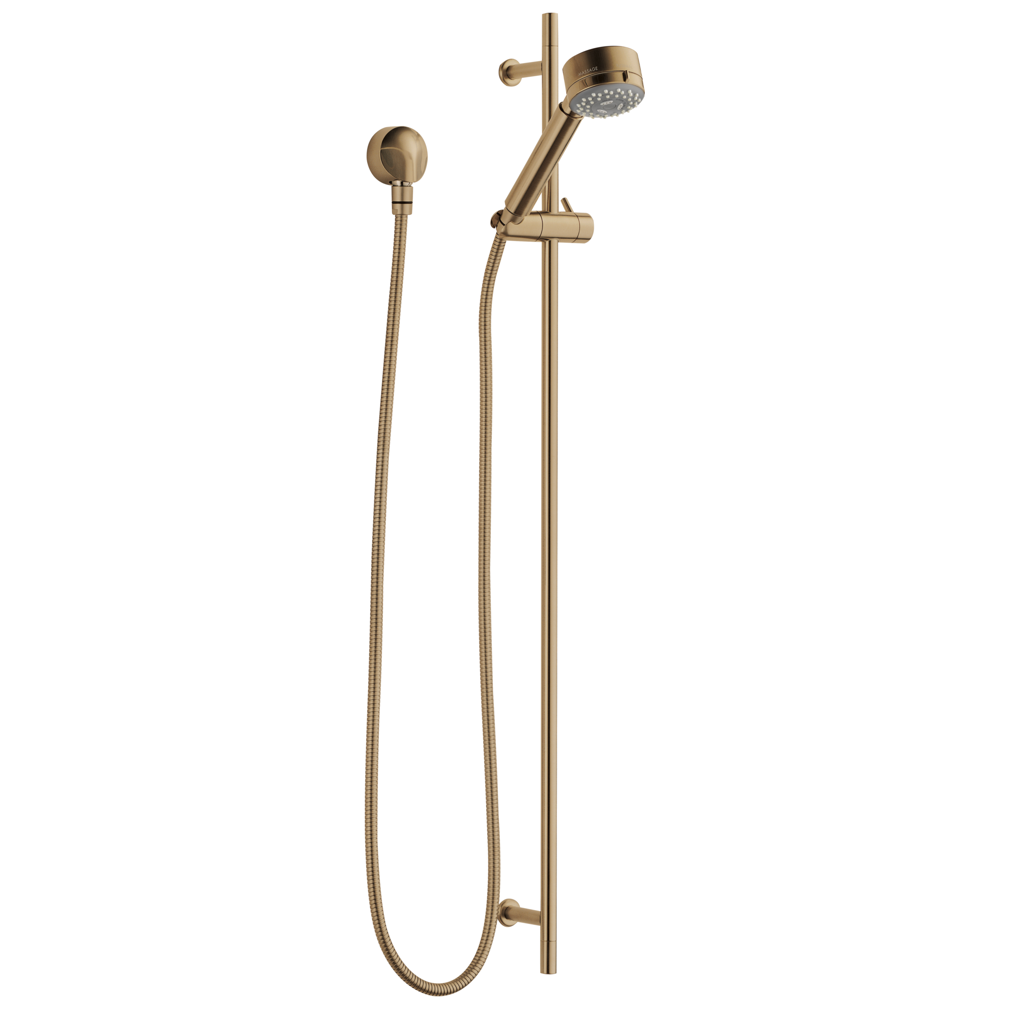 Brizo Brizo European Multi-Function Slide Bar Hand Shower