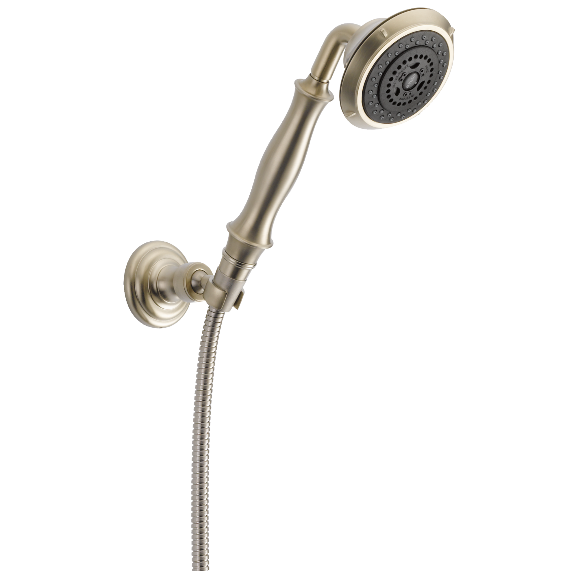 Brizo Baliza® Multifunction Wall Mount Handshower