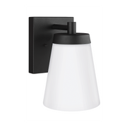 Renville 1-Light Large Wall Lantern