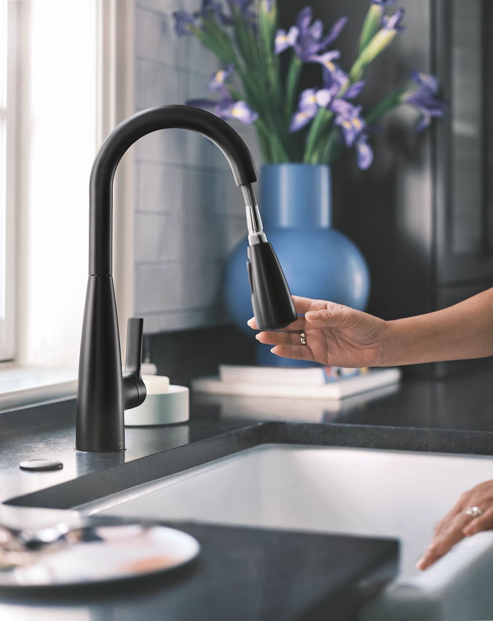 Haelyn One-Handle High Arc Pulldown Kitchen Faucet