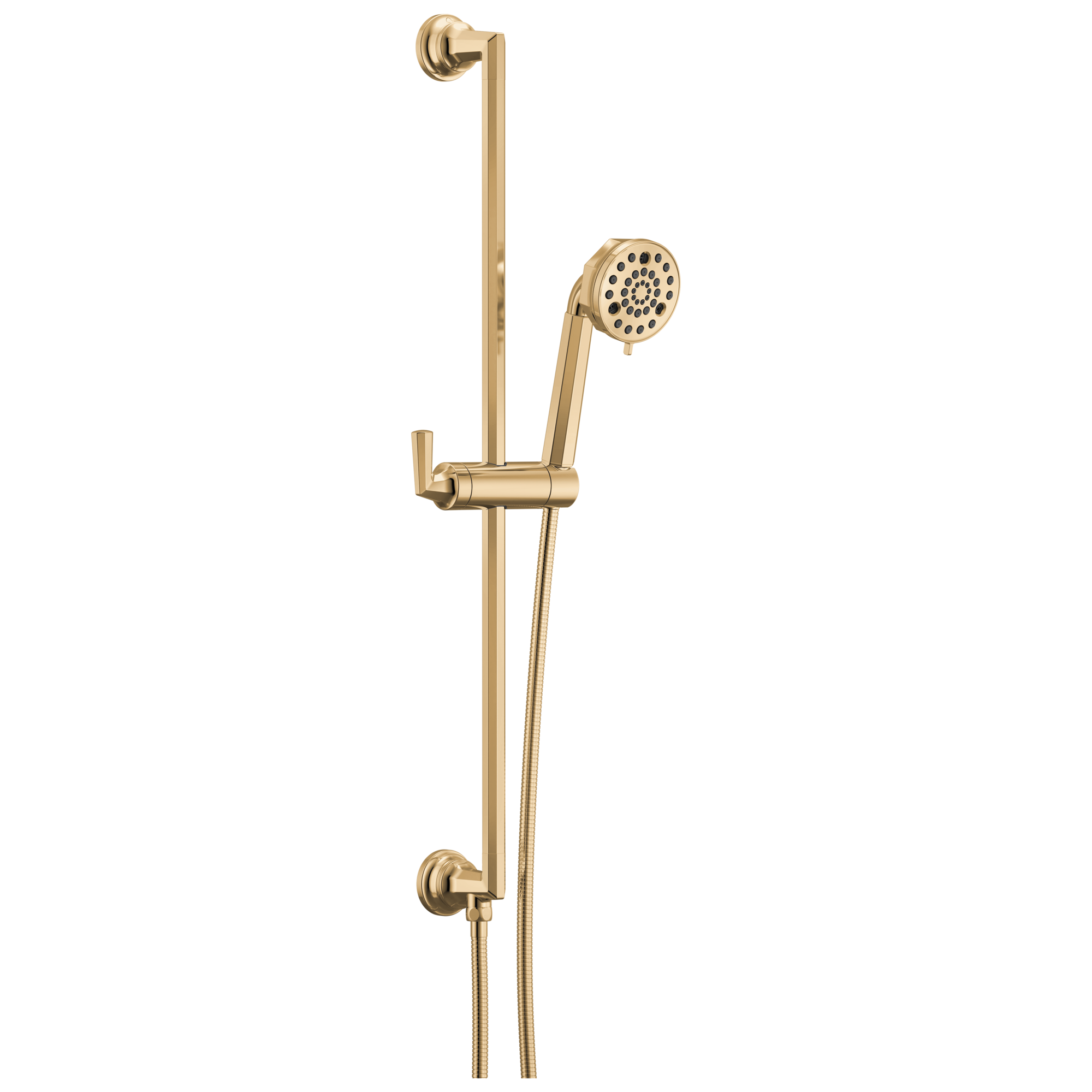 Brizo Beauclere™ Multi-Function Slide-Bar Hand Shower