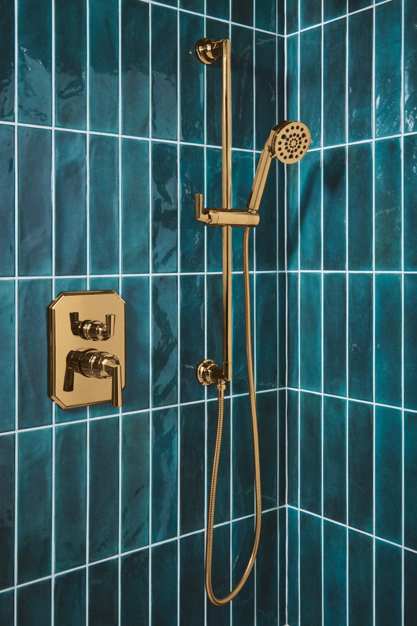 Brizo Beauclere™ Multi-Function Slide-Bar Hand Shower