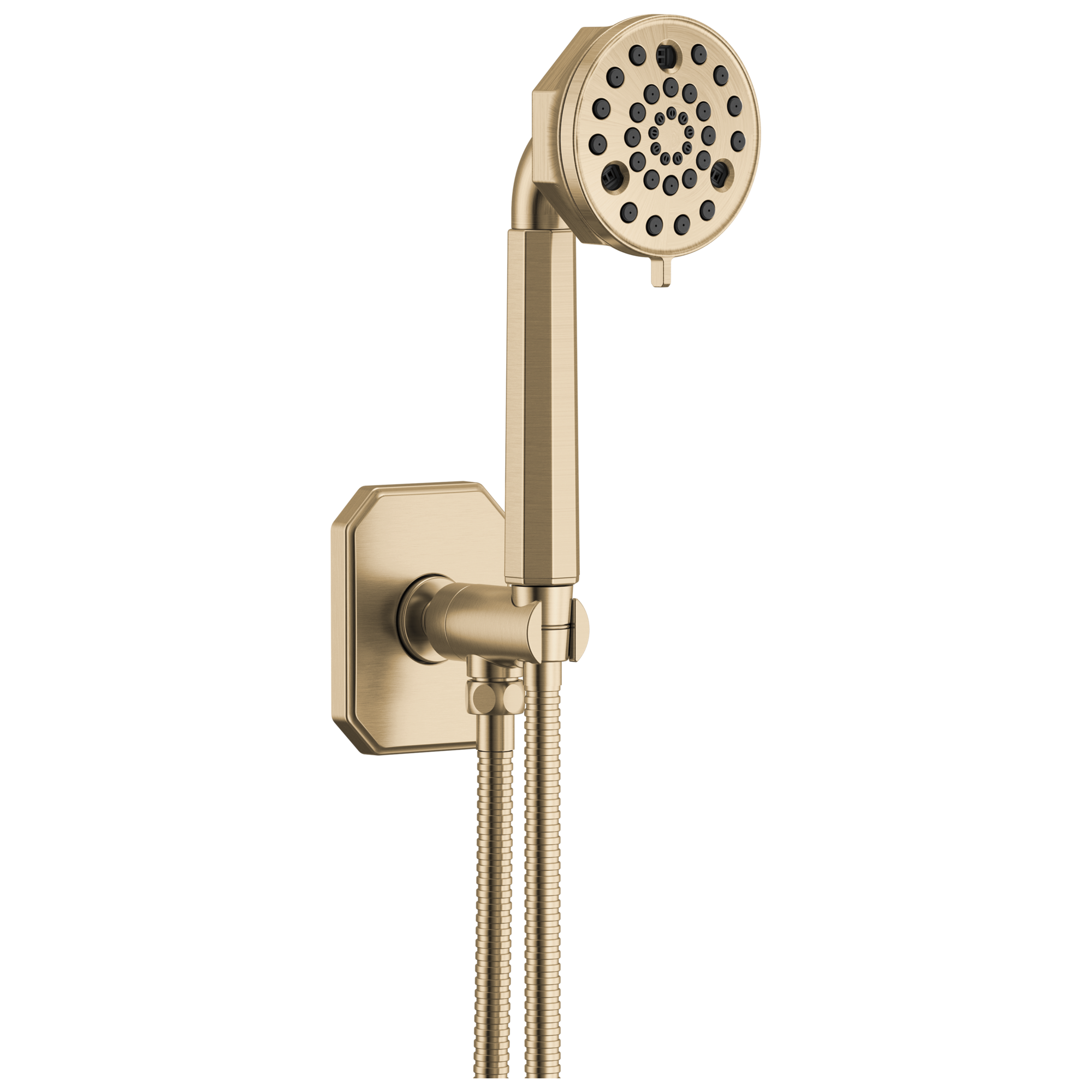 Brizo Beauclere™ Multi-Function Wall Mount Hand Shower