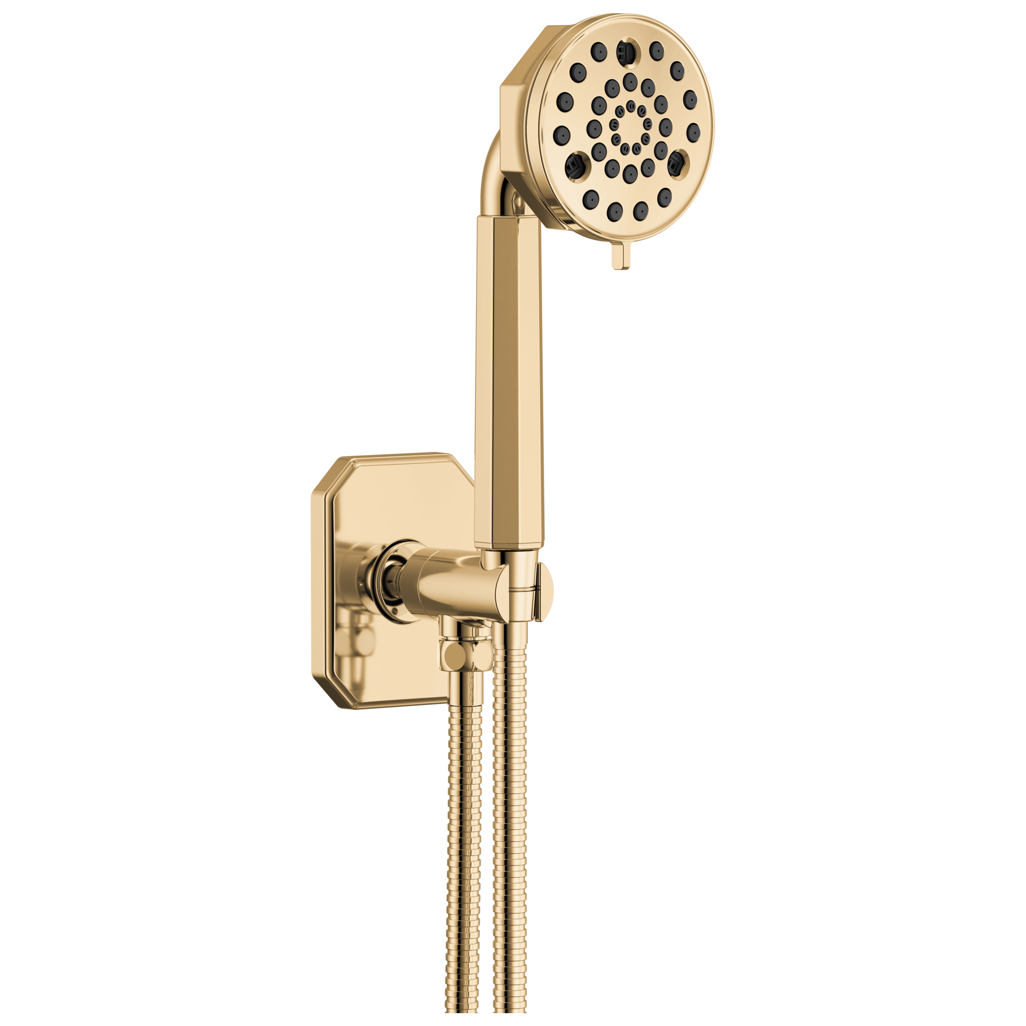 Brizo Beauclere™ Multi-Function Wall Mount Hand Shower