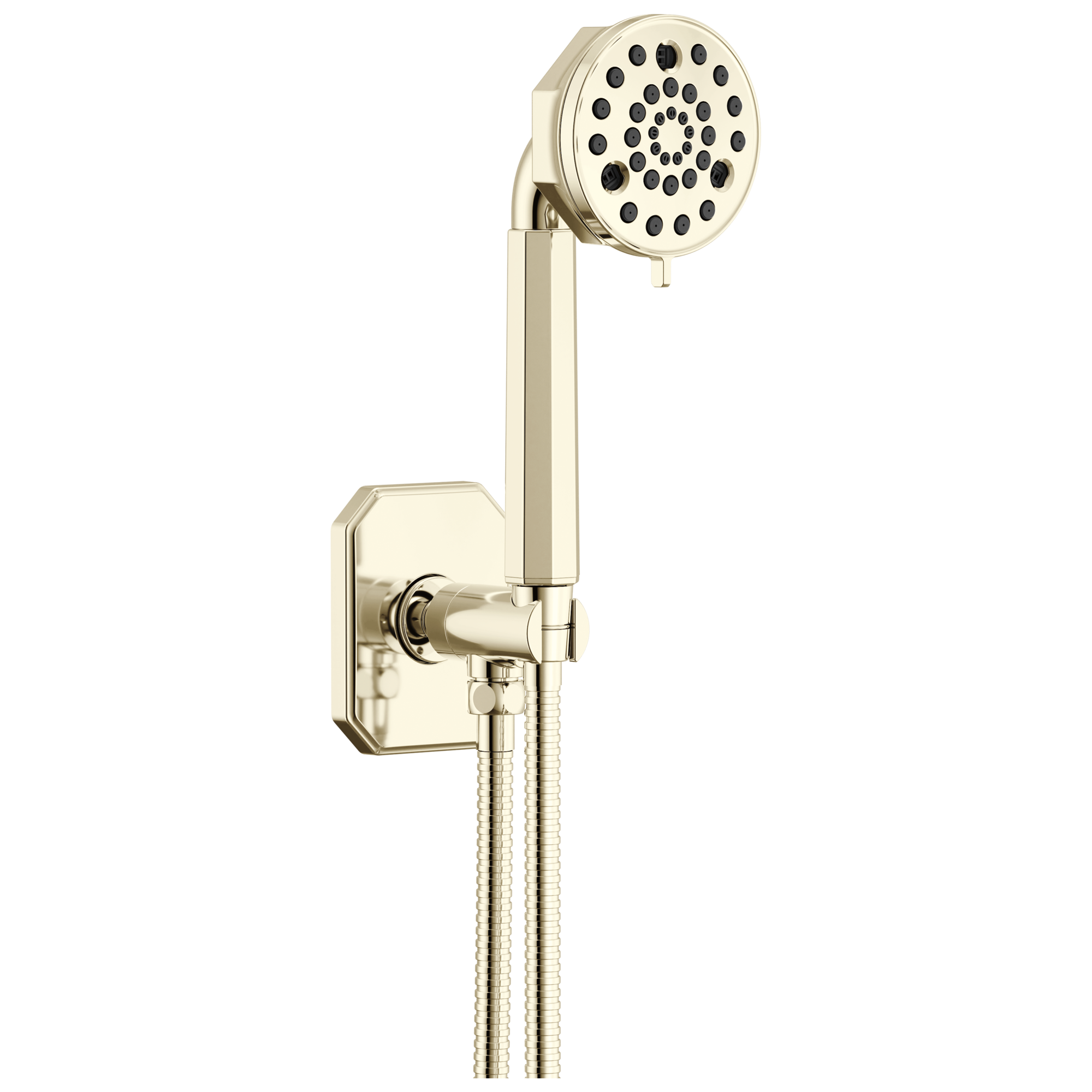 Brizo Beauclere™ Multi-Function Wall Mount Hand Shower