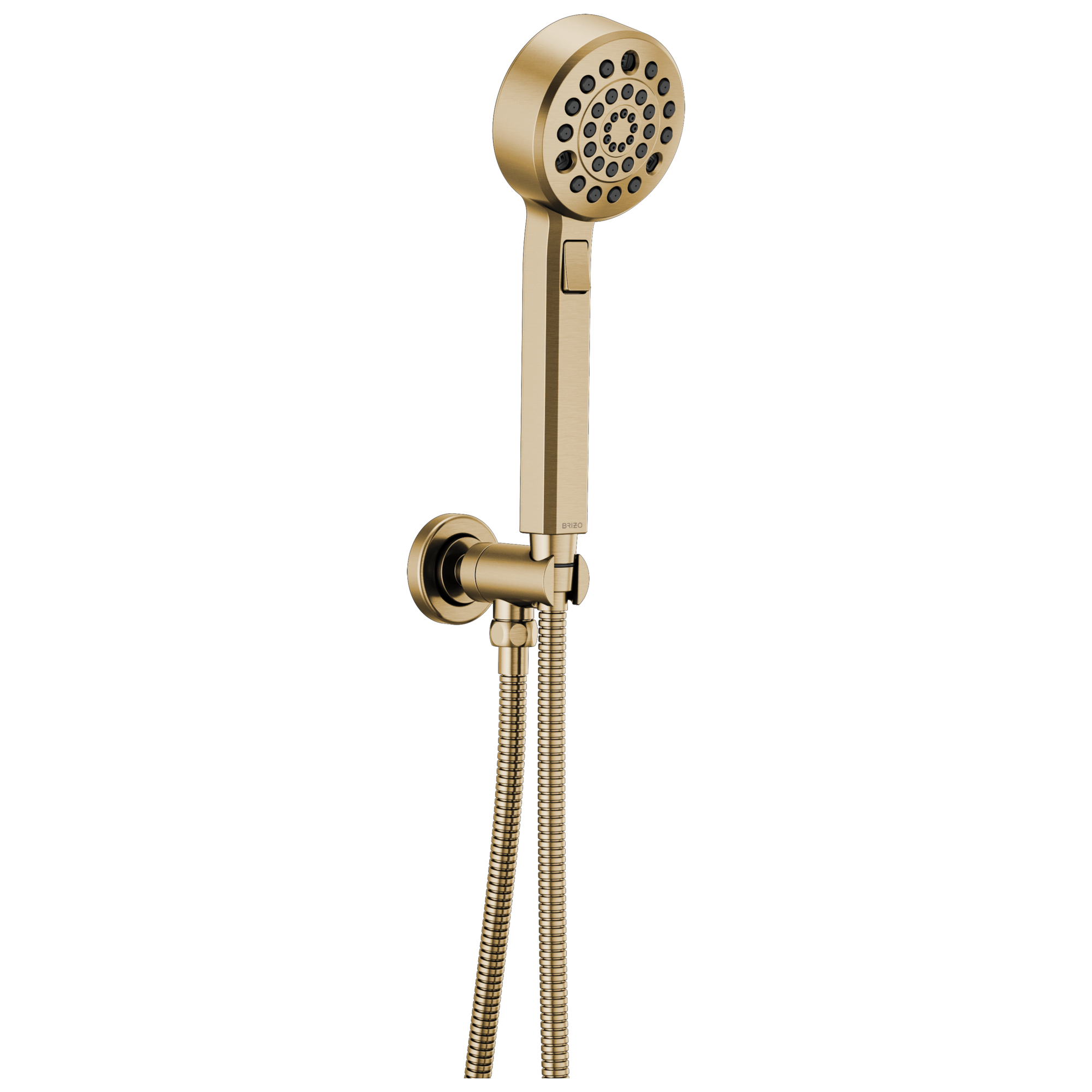 Brizo Levoir™ H2OKinetic® Multi-Function Wall Mount Handshower