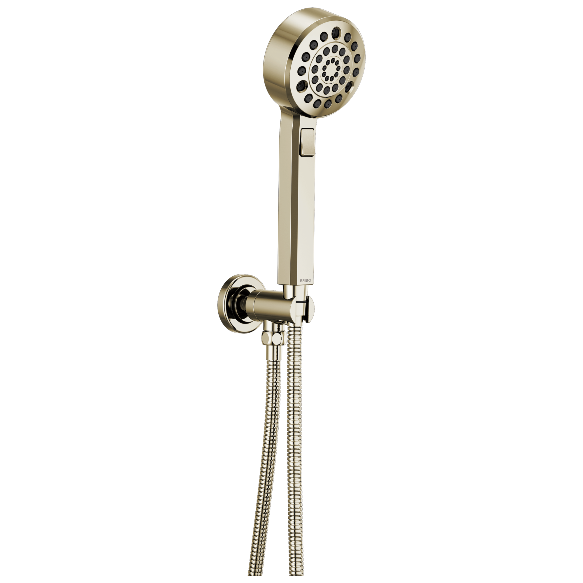 Brizo Levoir™ H2OKinetic® Multi-Function Wall Mount Handshower