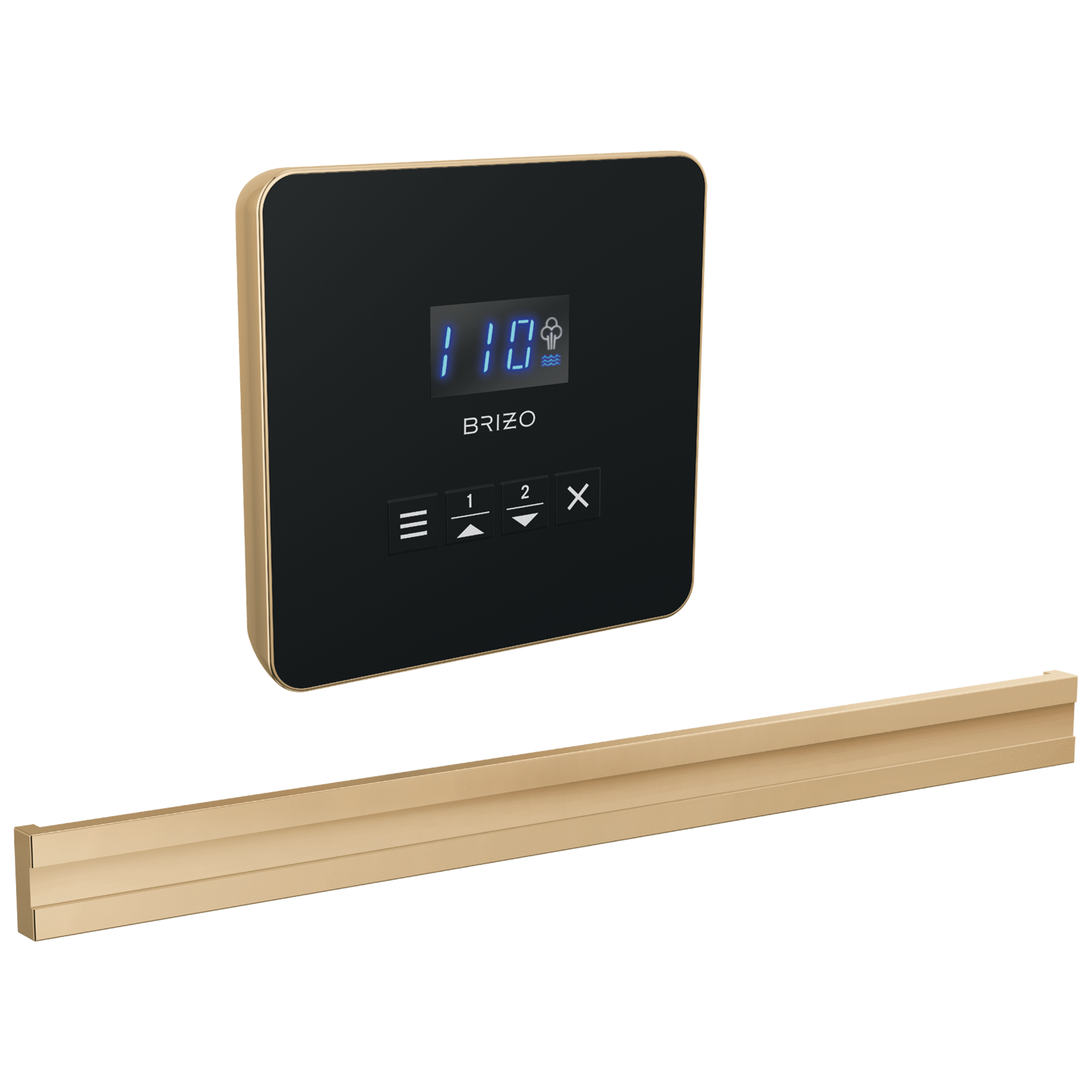 Brizo Other Square + Bilateral Steam Set