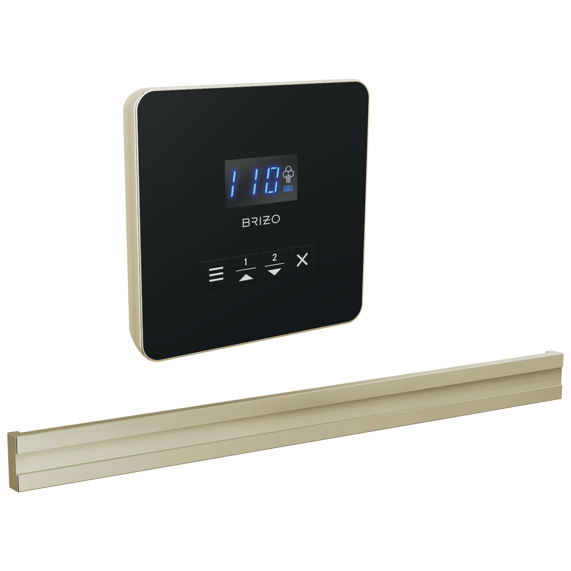 Brizo Other Square + Bilateral Steam Set