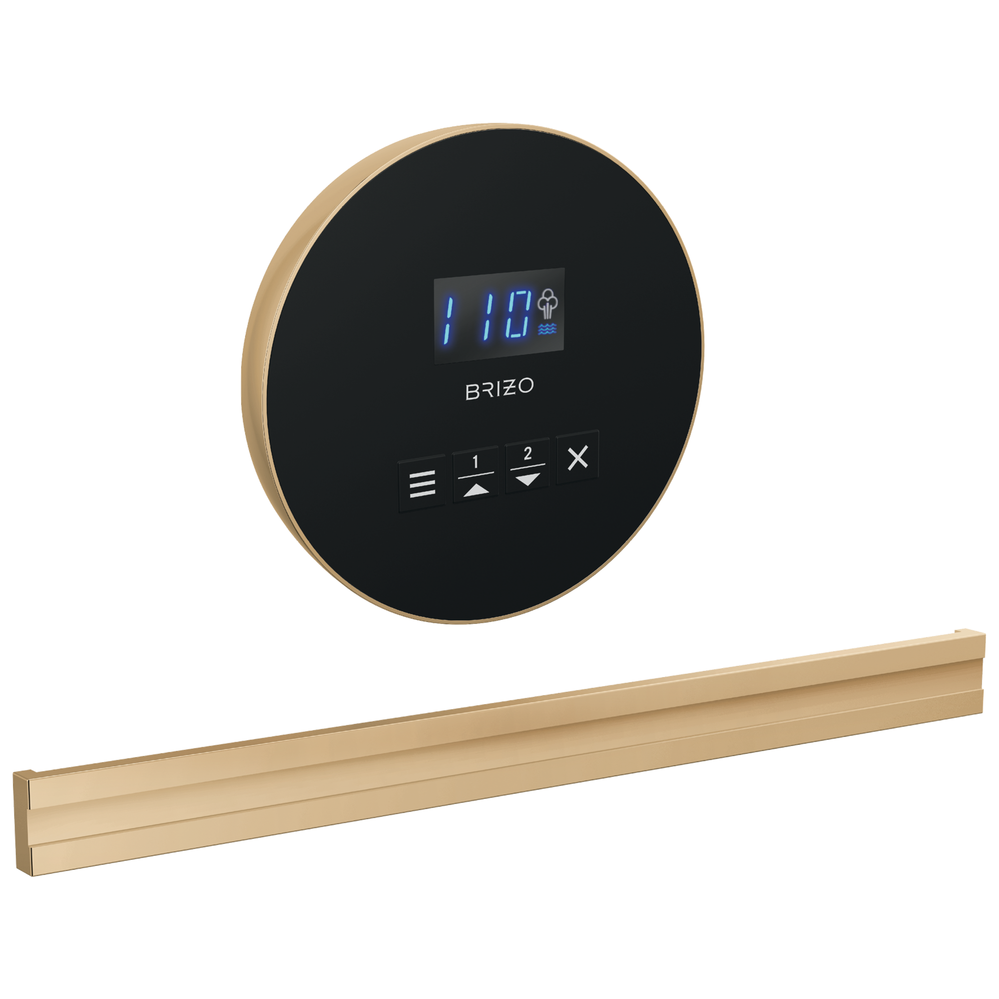 Brizo Other Round + Bilateral Steam Set