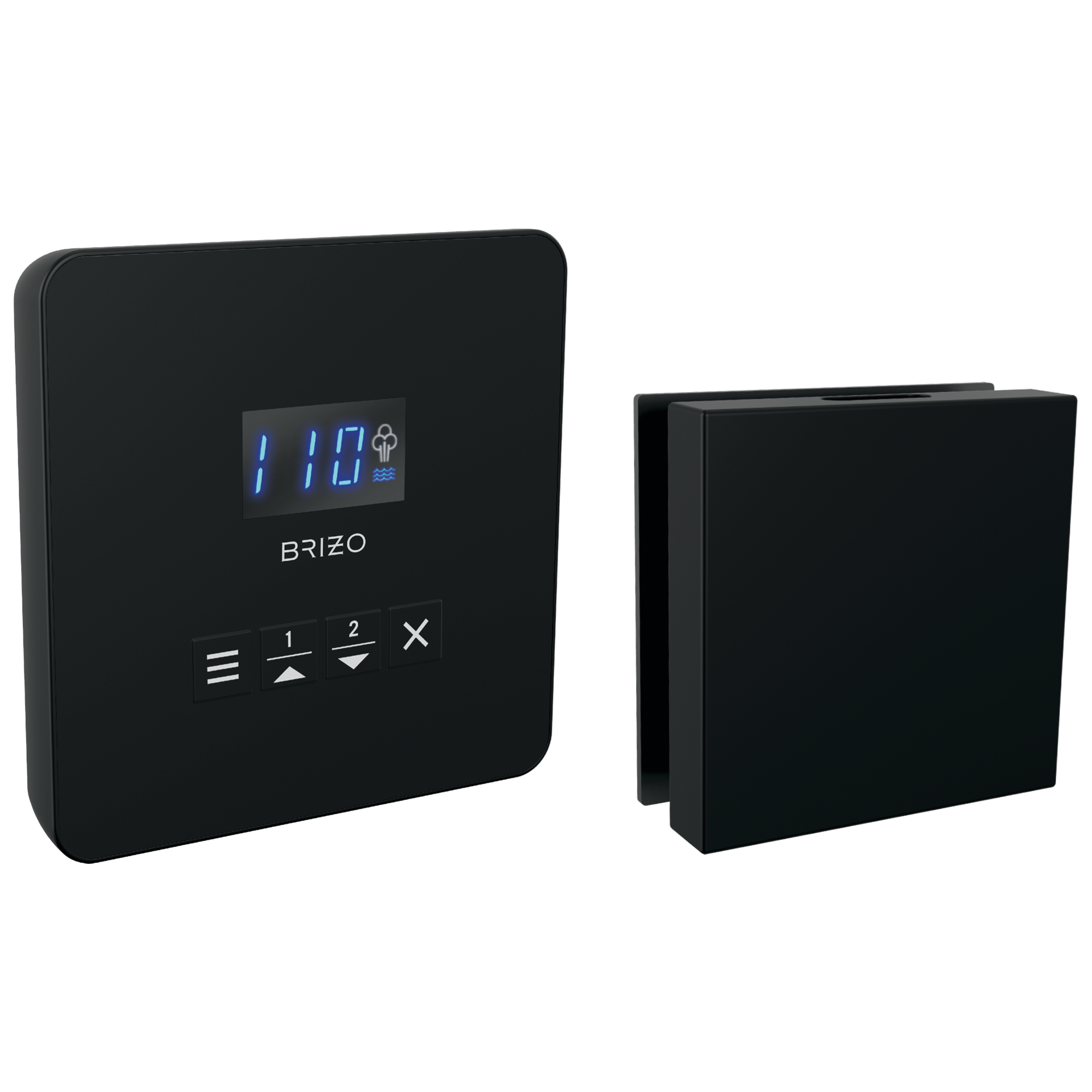 Brizo Other Square Steam Set