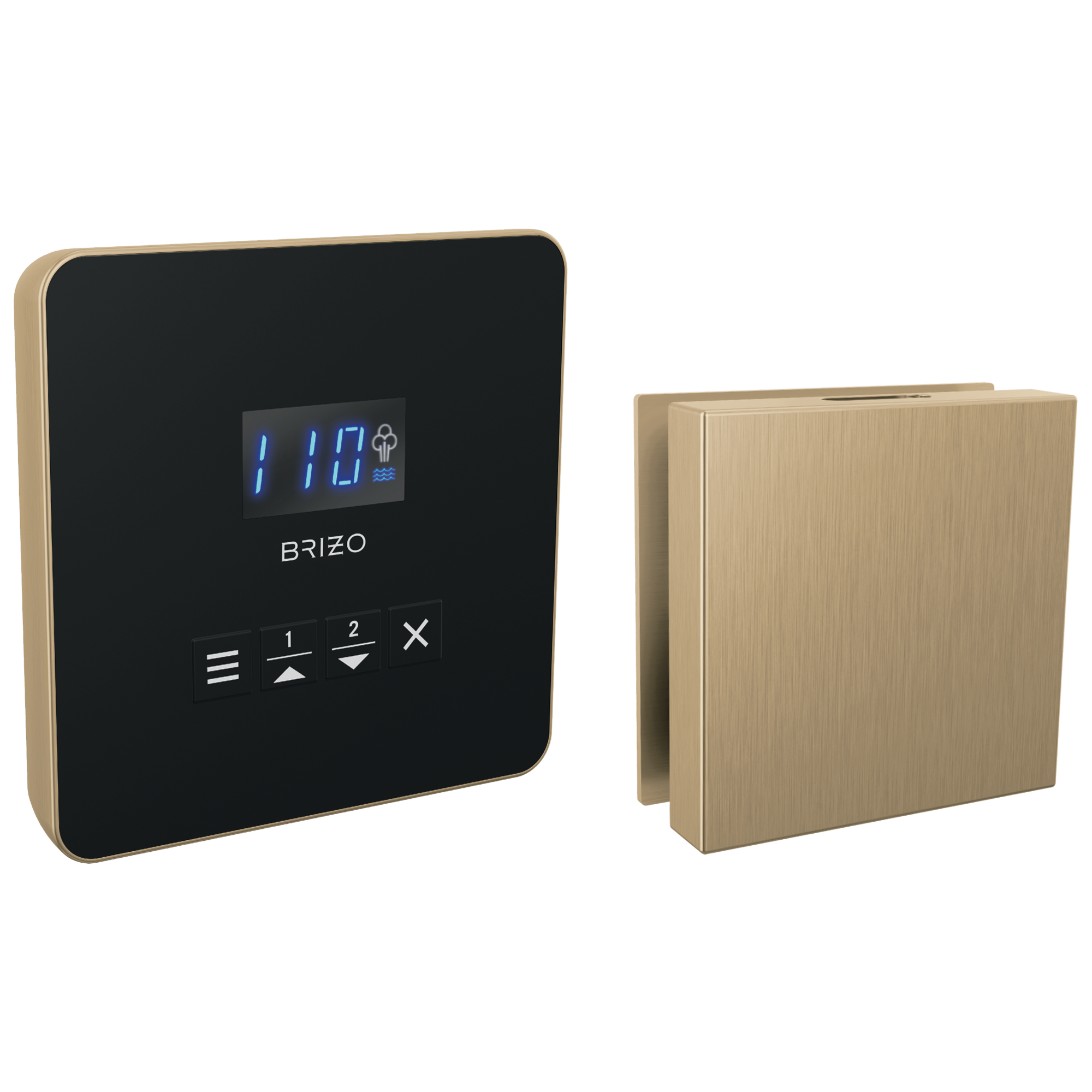Brizo Other Square Steam Set