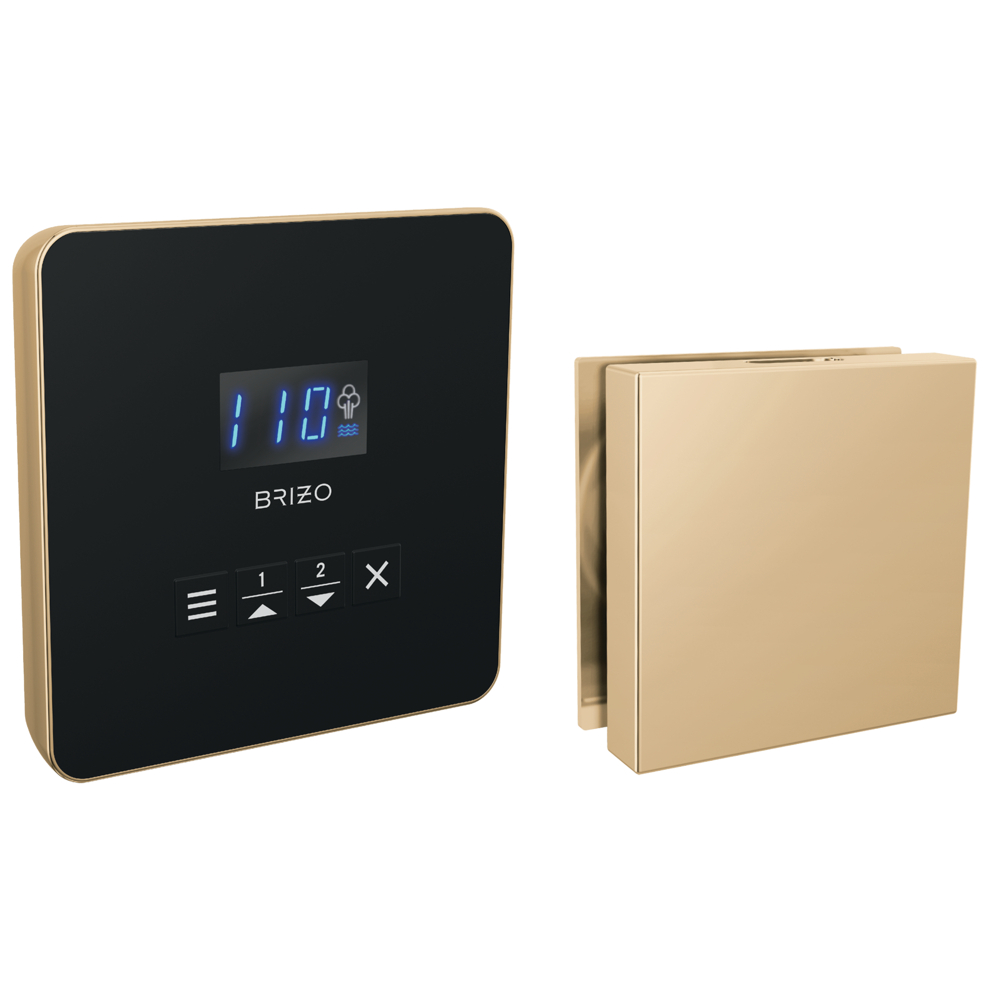 Brizo Other Square Steam Set