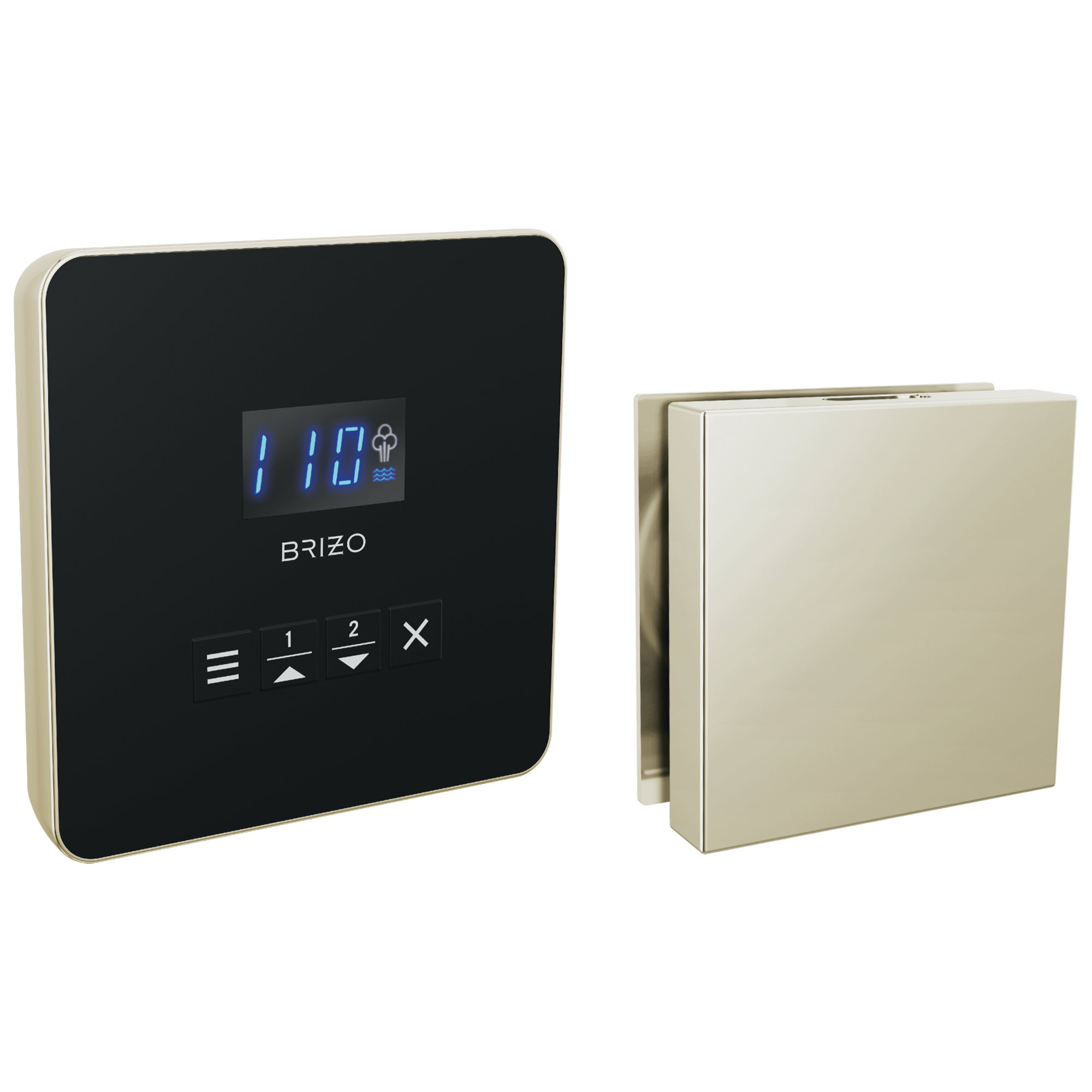 Brizo Other Square Steam Set