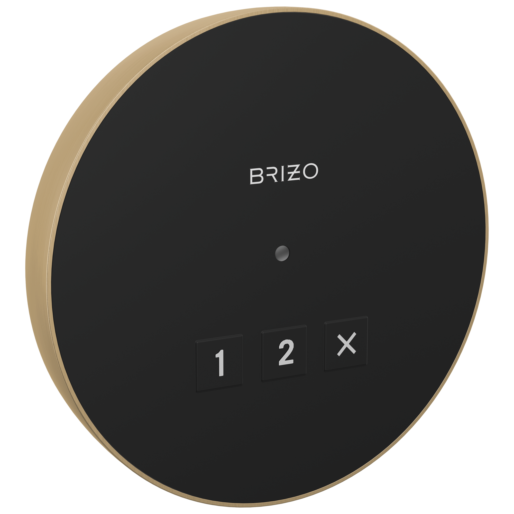 Brizo Other Round Exterior Control