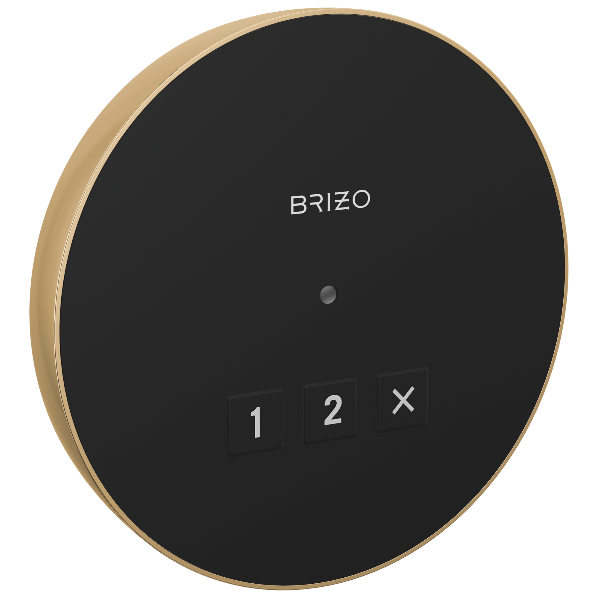 Brizo Other Round Exterior Control