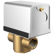 Brizo Other Auto Drain - 208v