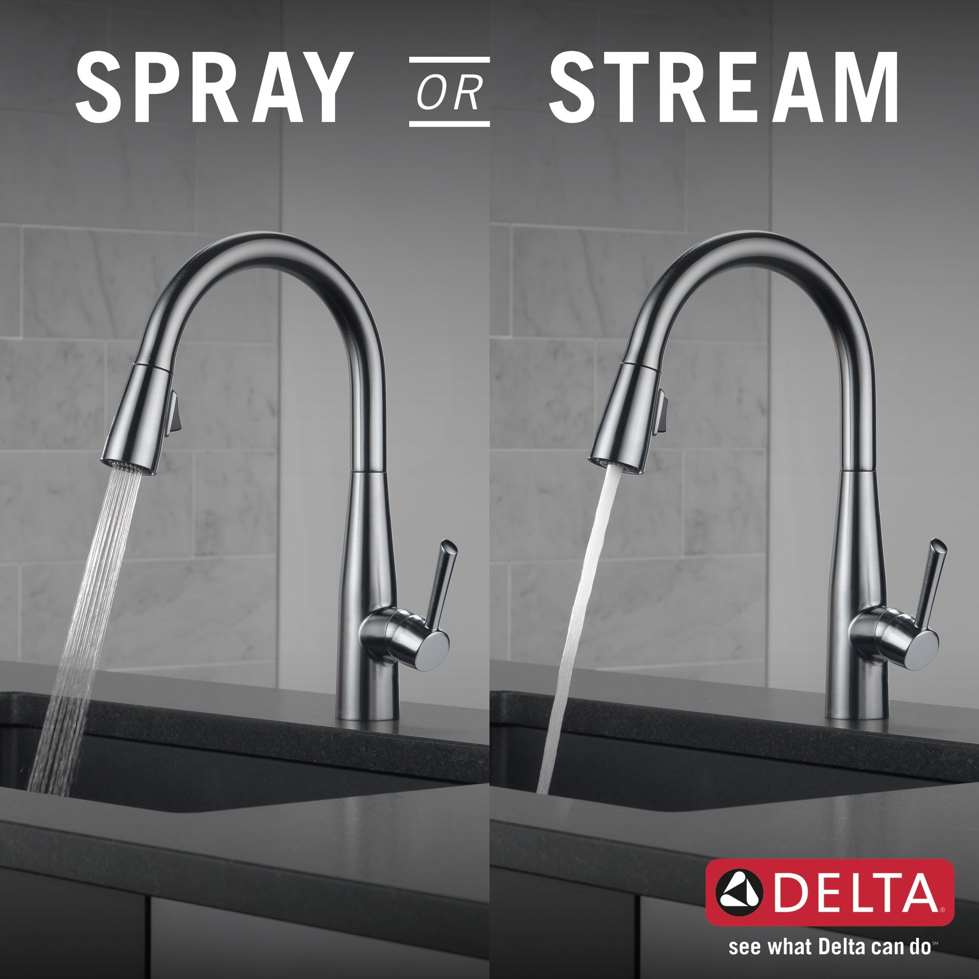 Delta Essa® Single Handle Pull-Down Kitchen Faucet