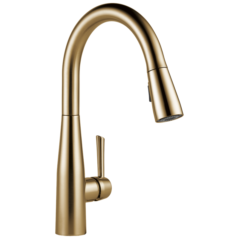 Delta Essa® Single Handle Pull-Down Kitchen Faucet