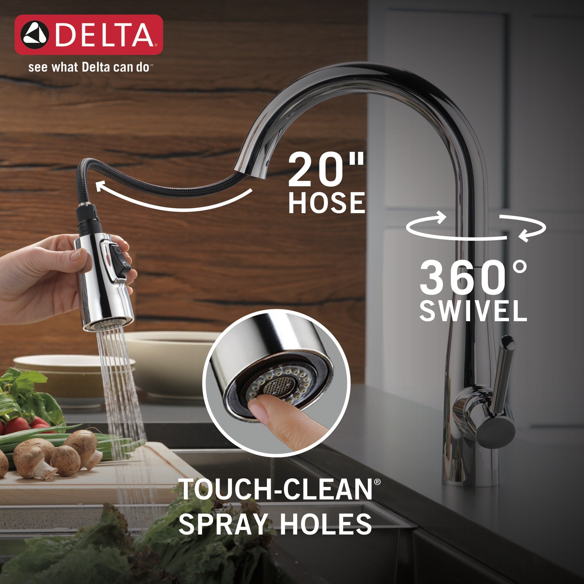 Delta Essa® Single Handle Pull-Down Kitchen Faucet