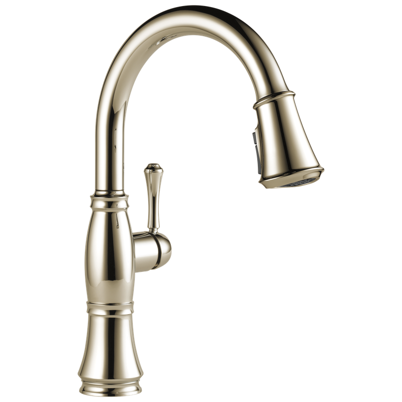 Delta Cassidy® Single Handle Pull-Down Kitchen Faucet