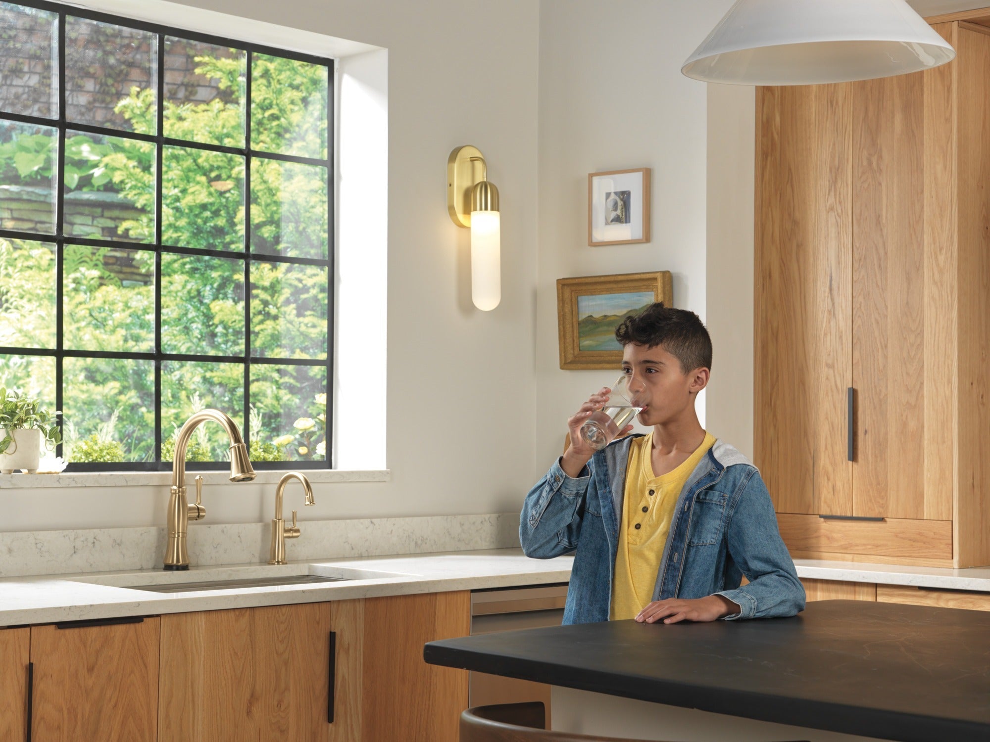 Delta Other Traditional Beverage Faucet