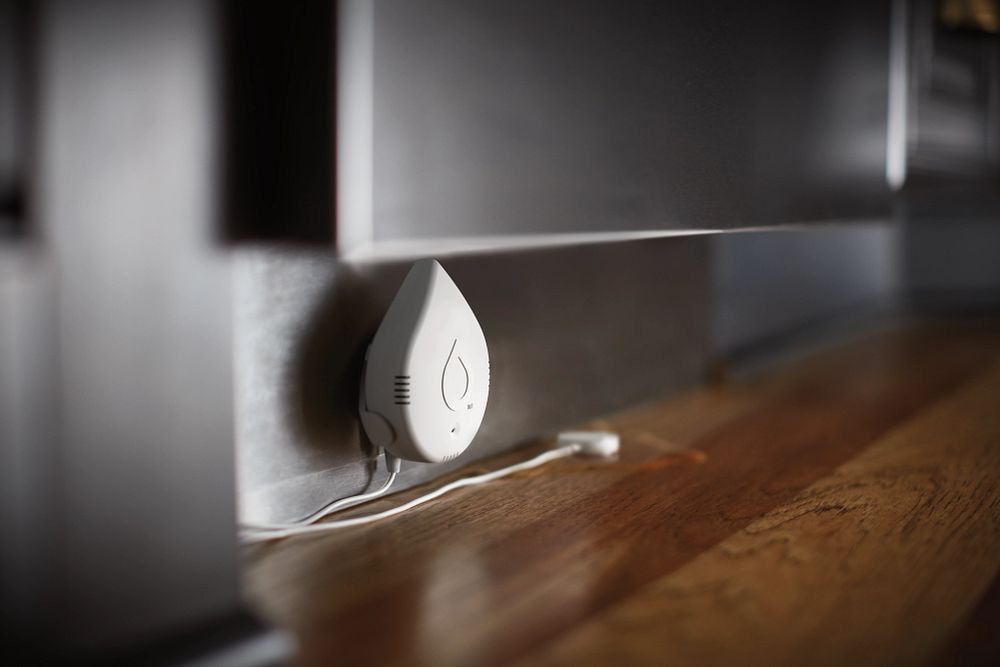 Moen Smart Leak Detector, 1 Pack