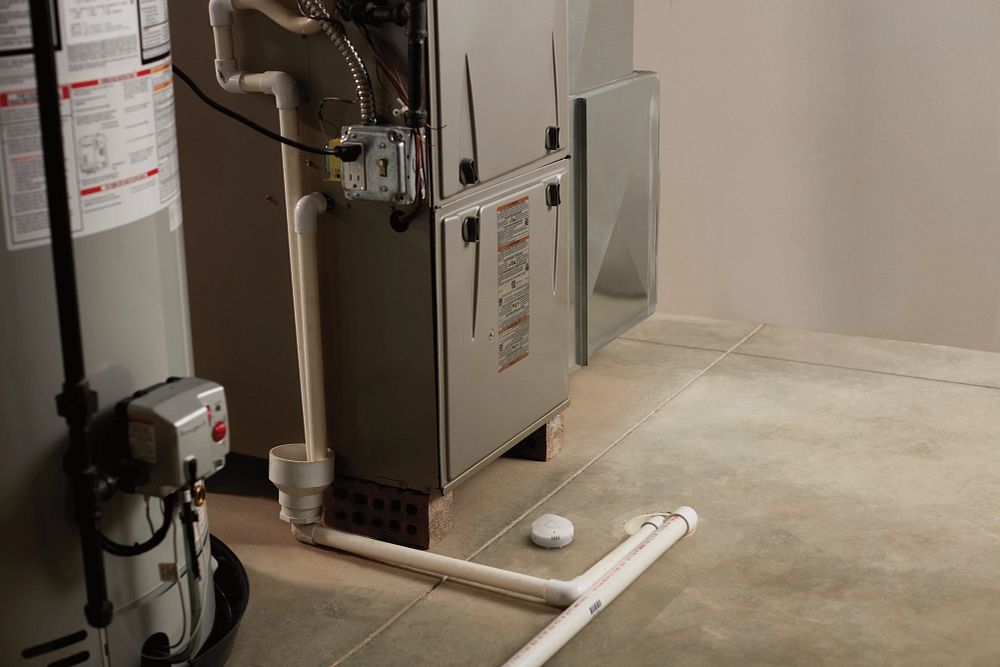 Moen Smart Leak Detector, 1 Pack
