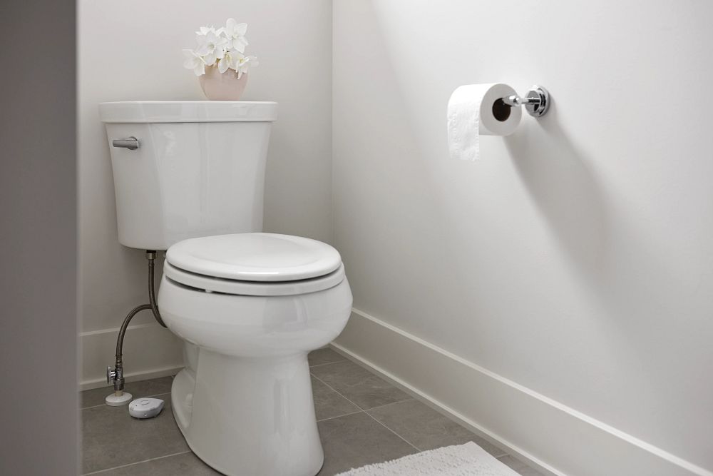 Moen Smart Leak Detector, 1 Pack
