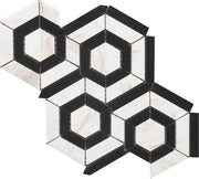 Roca Rockart – Black & White Hexagon (9"x12" Marble Mosaic)