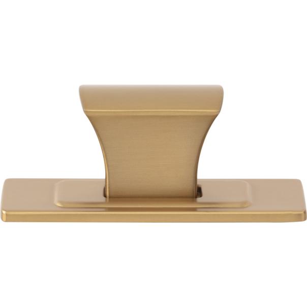 Atlas Homewares Zander Knob and Backplate