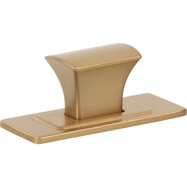 Atlas Homewares Zander Knob and Backplate