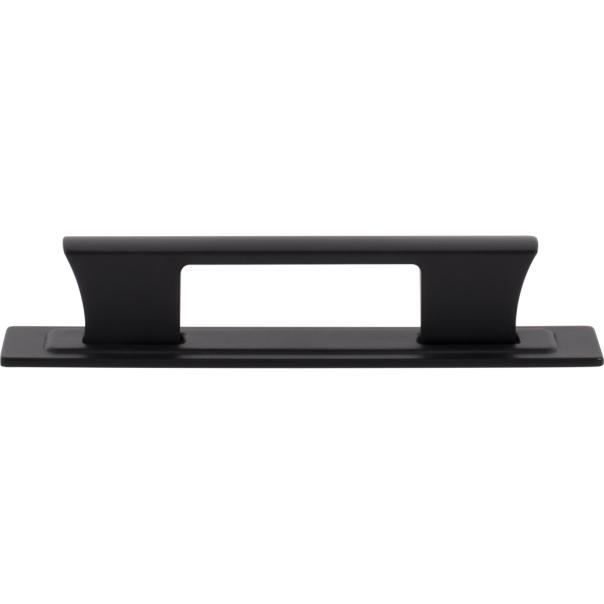 Atlas Homewares Zander Pull and Backplate