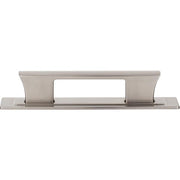 Atlas Homewares Zander Pull and Backplate