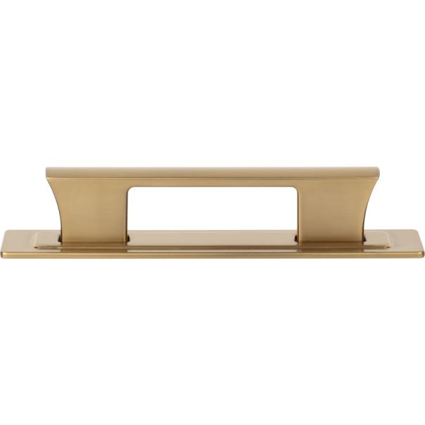 Atlas Homewares Zander Pull and Backplate