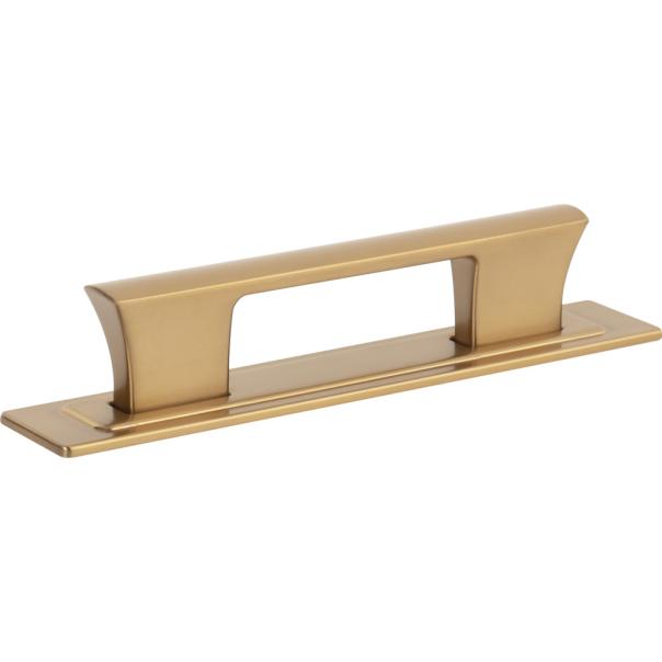 Atlas Homewares Zander Pull and Backplate